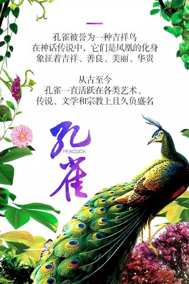 【915-918邵陽(yáng)秋季車(chē)展】鳳臨枝頭，雀雀雀雀雀實(shí)驚艷！