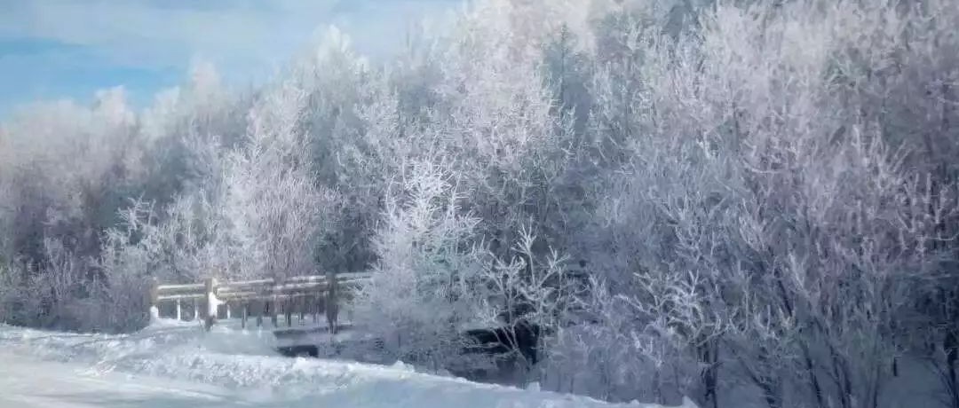 奕行記|奕路向北，駛向雪國阿爾山